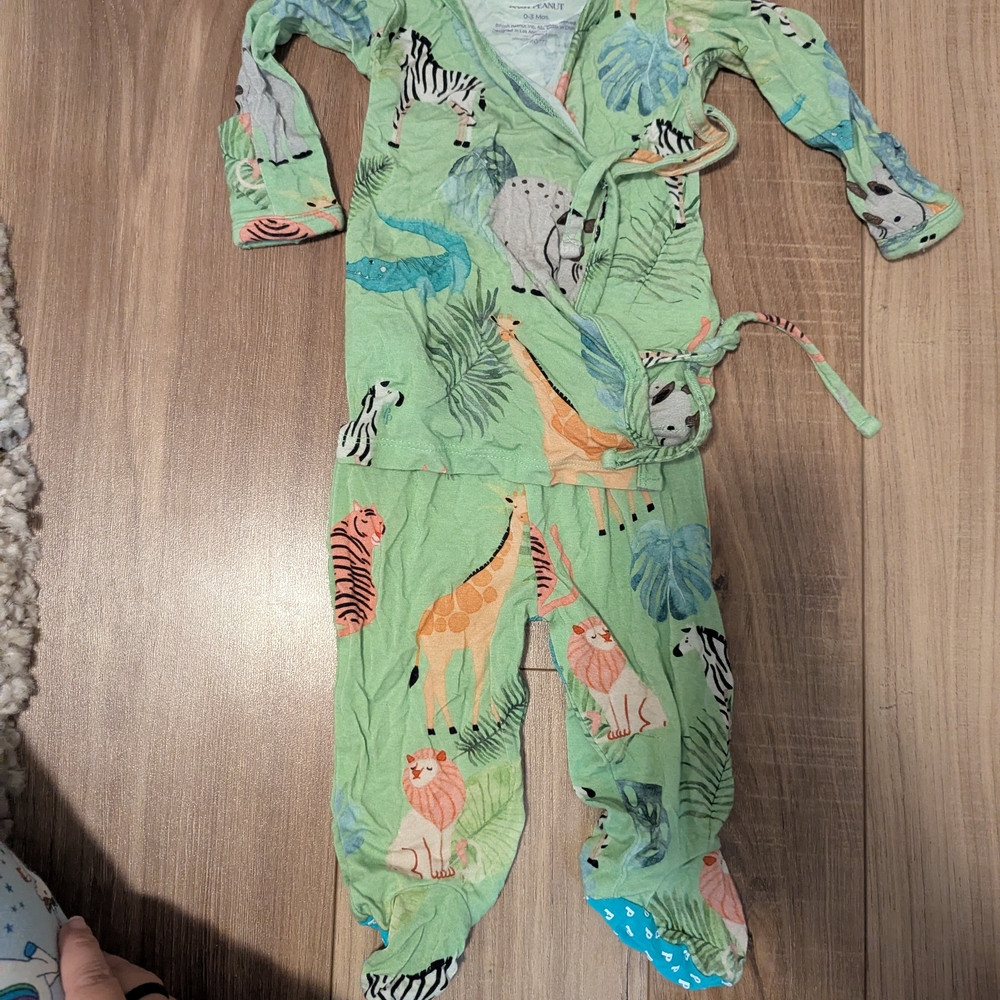 Posh Peanut Green Animal Print Kids Matching Set